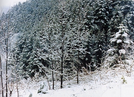 Зима на Сахалине